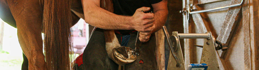 A man cleaning a horses hoof