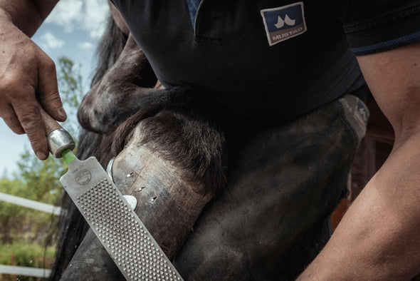 A man working on a horse shoe